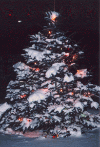 xmastree22.gif