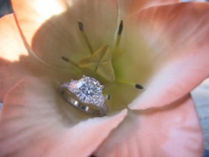 Ring in Flower 2154.JPG