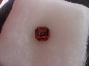 FPP-DSSpessAsscher1.JPG