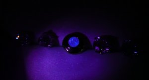 fluorescense 007.jpg