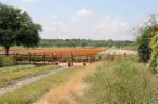 pasture at Wildseed Farms.jpg
