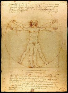 Balance Da_Vinci_Vitruve_Luc_Viatour.jpg