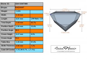 GIA13367380FVS21-07.jpg