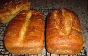 Toast1.JPG
