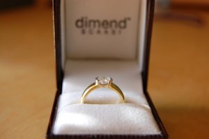ring1_versailles.JPG