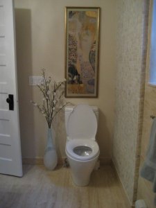 toilet NEW.jpg