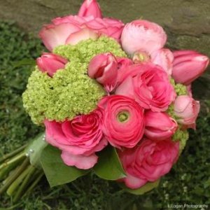 viburnum.jpg