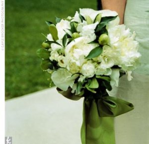 green and white.jpg