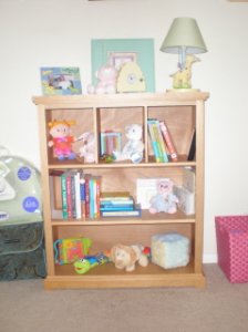 P3240060.Bookcase.jpg
