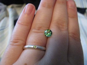 IMG_1168freke.jpg