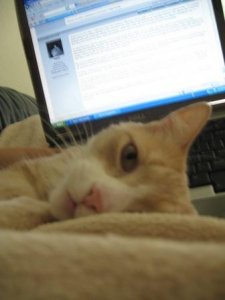 duncan attack gyps.jpg