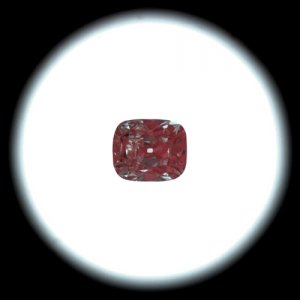 48FVS1IS.jpg