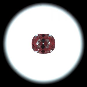 51ESI1IS.jpg