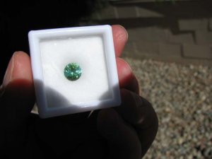 IMG_1137.JPG