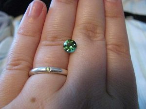 IMG_1171freke.jpg