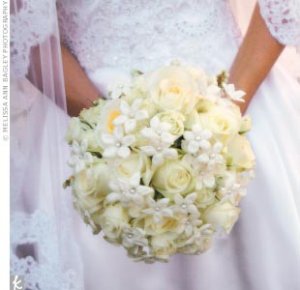 stephanotis with pear centers.jpg