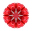 T56P41_0C33_0.jpg