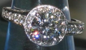 100_0061-cr3.JPG 100_0061-cr3.JPG