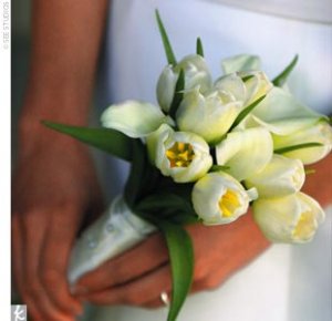 Freke bouquet.jpg