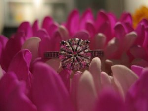 New Ring Pic in Pretty Flower.JPG