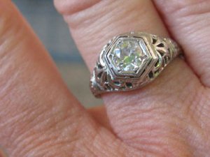 edring7971.jpg
