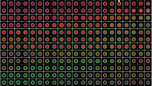 5365.gif
