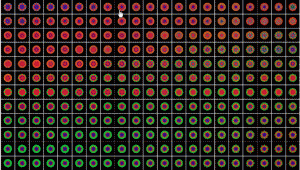 5380.gif