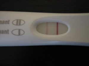 ebreepreg_test.jpg
