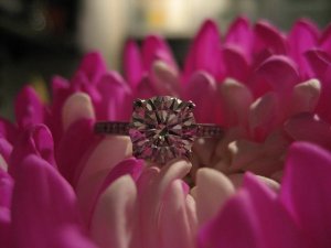 New Ring Pic with Arrows.JPG