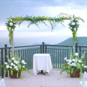 Flower_arch.jpeg