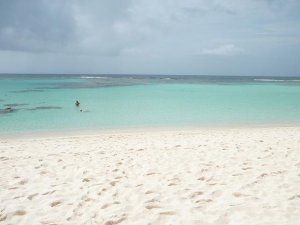 smallbeach2.jpg