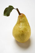 pear1234.jpg