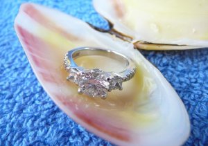 smallringshell1.jpg