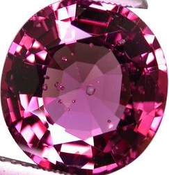 SPINEL11113-aso.jpg