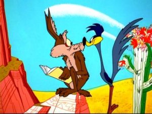 Roadrunner.JPG