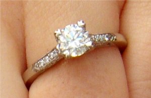Engagement62108.jpg