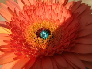 IMG_1043s.jpg