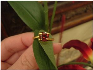 Garnet.Malaya.Omie.3.JPG