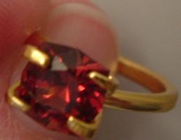 Garnet.Malaya.Omie.6.JPG