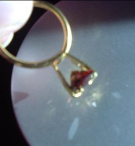 Garnet.Malaya.Omie.7.JPG