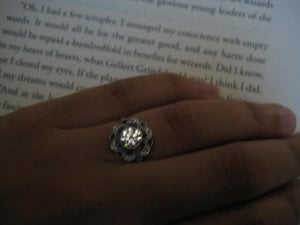 frenchbluehandshotbook.JPG