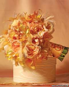 mwd103620_spr08_apricot_xl.jpg