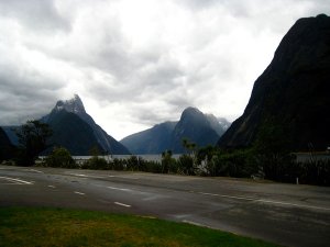 museynz07.jpg