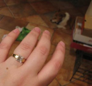 Judgie in background sized.jpg