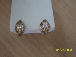 earrings_resized.jpg