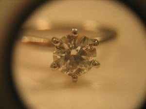 IMG_0379.JPG