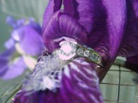 darkeririsbling52708.jpg
