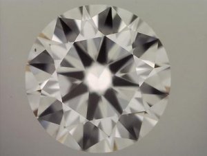 5003556PIC.jpg
