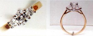ring_pic.JPG ring_pic.JPG