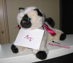 Kitty%20-%20captioned-a1.JPG